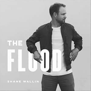 The Flood (Deluxe)