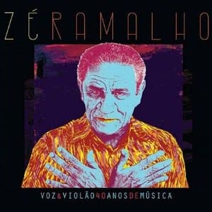 Voz e Violao: 40 Anos de Musica