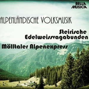 Alpenlandische Volksmusik, Vol. 2
