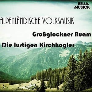 Alpenlandische Volksmusik, Vol. 3