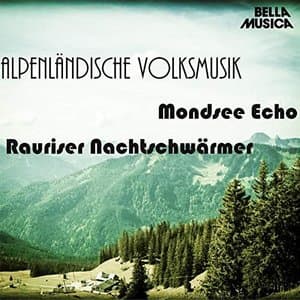 Alpenlandische Volksmusik, Vol. 4