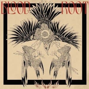 Im Not Trying to Start a Fire Anymore