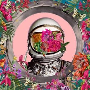 Spectrum of Emotions