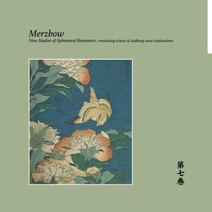 Nine Studies Of Ephemeral Resonance Volume 7