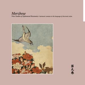 Nine Studies Of Ephemeral Resonance Volume 9