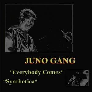 Everybody Comes / Synthetica