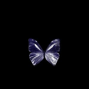 Tutto cio che non vuoi sapere