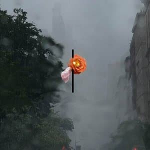 songs people together (extended)