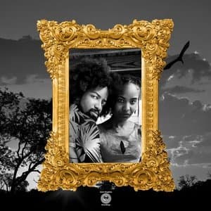 Our Ancestors wildest Dreams