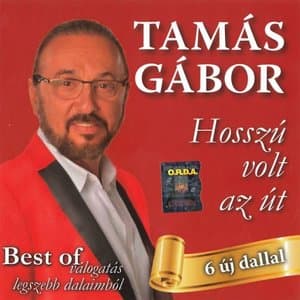 Hosszu Volt Az Ut (Best Of Valogatas Legszebb Dalaimbol)