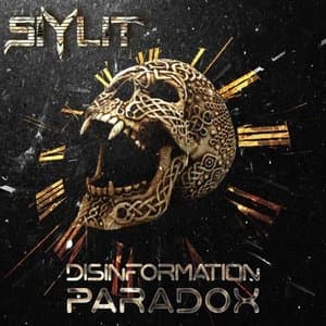 Disinformation Paradox