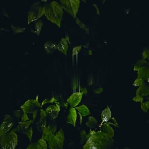 Music for Empty Flats