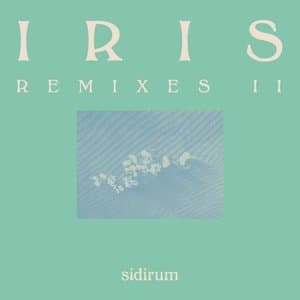 Iris (Remixes II)