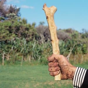 The Lord Is My German Shepherd (Time for Walkies)