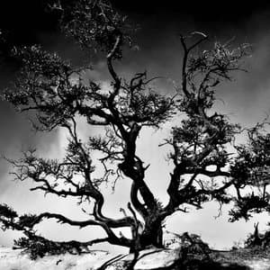 Translunar Injection