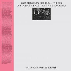 Only birds know how to call the sun and they do it every morning