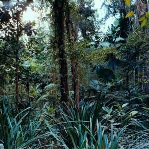 Latency alla Villa Medici III