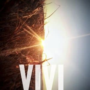VIVI