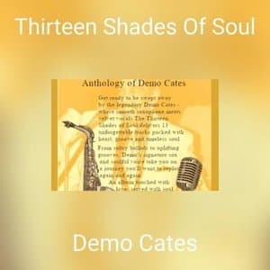 Thirteen Shades Of Soul