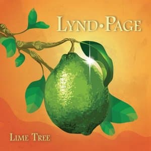 Lime Tree
