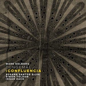 TUNGEMAL: Confluencia