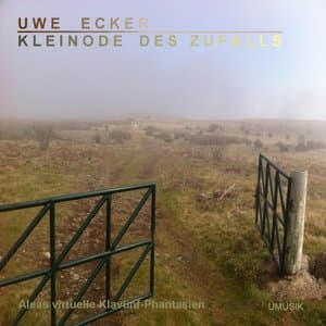 Kleinode des Zufalls