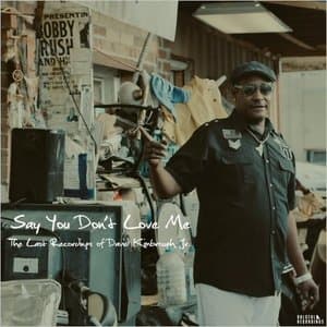 Say You Dont Love Me: The Last Recordings Of David Kimbrough Jr.