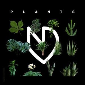 Plants