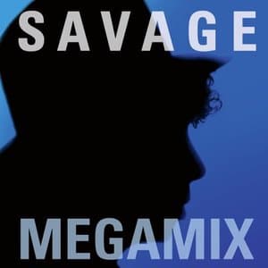 Megamix