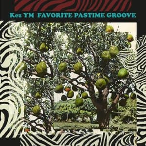 Favorite Pastime Groove