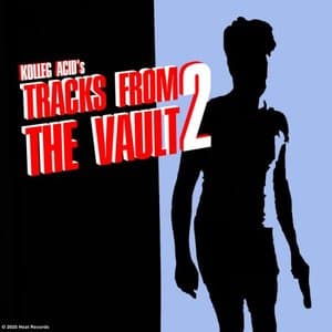 Tracks from the Vault 2