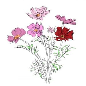 Music to Watch Seeds Grow By 004: E Ruscha V (Cosmos)