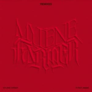 À Tout Jamais  (Remixes)