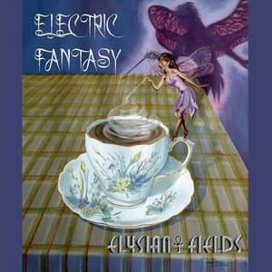 Electric Fantasy