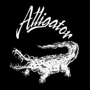 Alligator