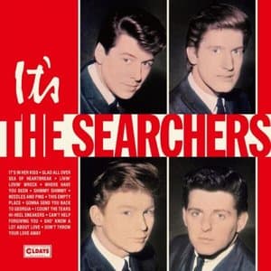 Its The Searchers (Bonus Track)