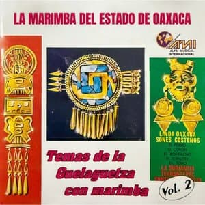 Temas De La Guelaguetza Con Marimba