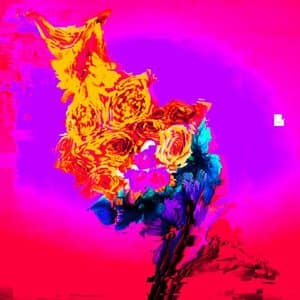 isomonstrosity (instrumentals)