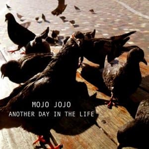 Another Day In The Life