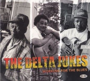 Working For The Blues