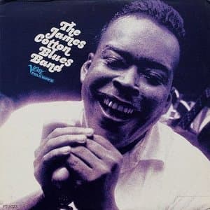 The James Cotton Blues Band