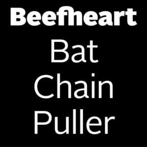 Bat Chain Puller