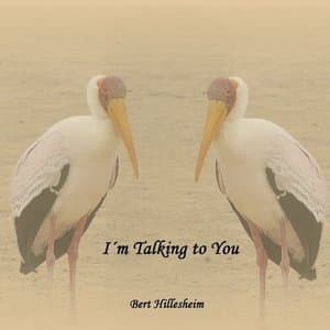 Im Talking to You