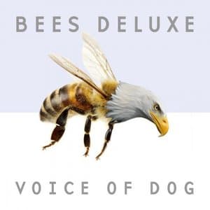 Voice Of Dog
