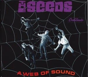 Web Of Sound / A Full Spoon Of Seedy Blues