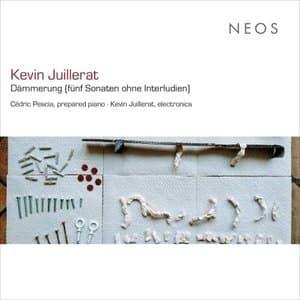 Kevin Juillerat: Dammerung