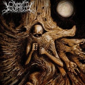 Under Southern Stars