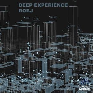 Deep Experience