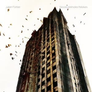 Noces animales falaises