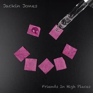 Friends In High Places